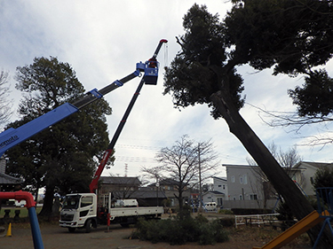 移植工事の施工例ページになります。